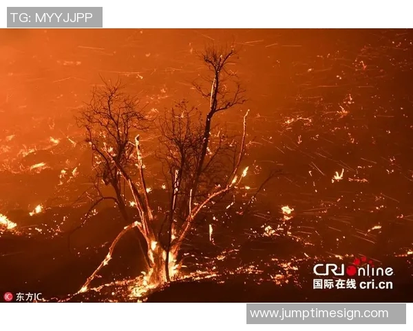 文图拉县与南加州的精彩对决揭示地区文化与经济发展的新机遇