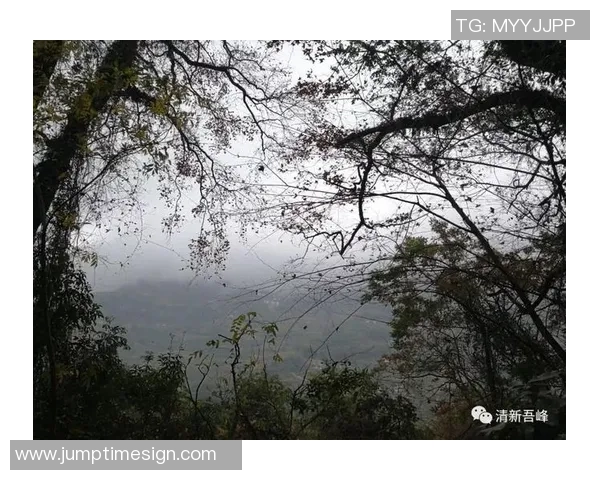 田桂森的艺术之路：从乡村到城市的心灵旅程与创作探索